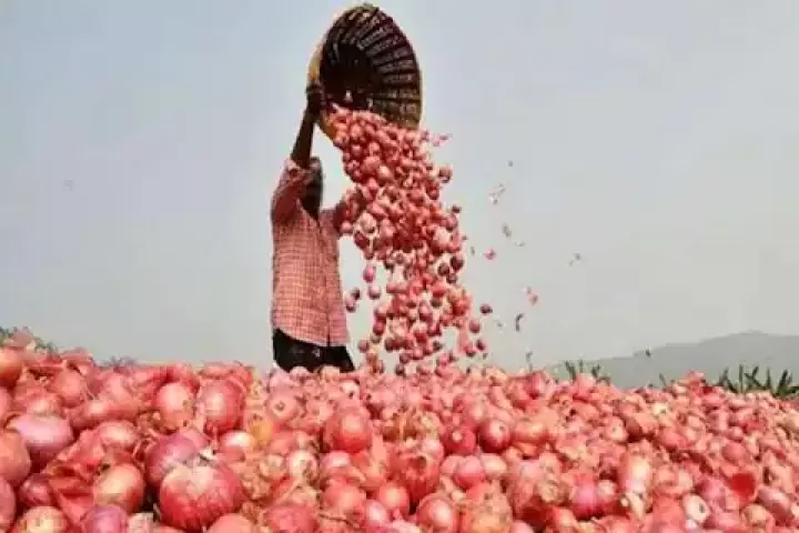 ONION-MARKET-५-1-16544385173x2-1.webp