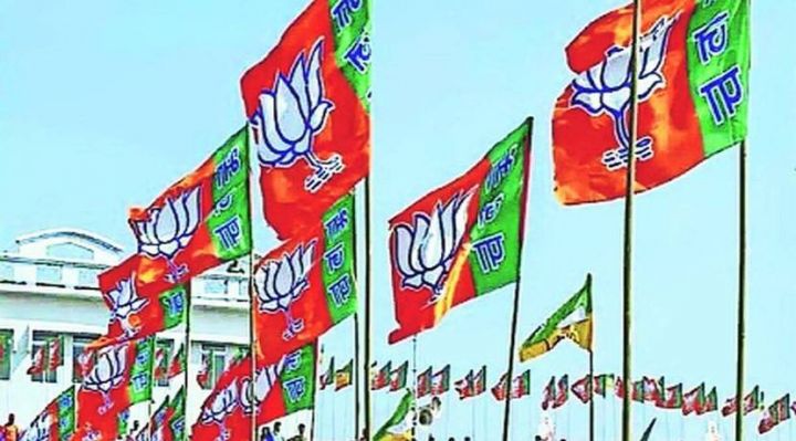 bjp-flag.jpg