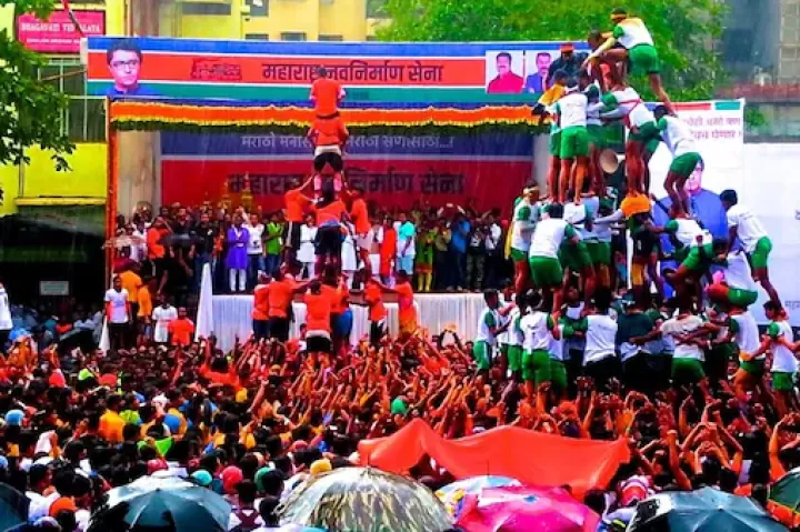 mns-dahi-handi.webp