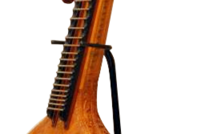 veena-with-stand.png